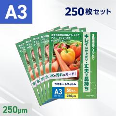 ���~�l�[�g�t�B���� A3�T�C�Y�i250�~�N�����j �Ɩ��p 250������i5���j ���~�l�[�^�[�t�B���� �p�E�`�t�B���� �f���� ���~�l�[�g ���H �h