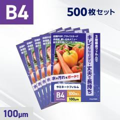 ���~�l�[�g�t�B���� B4�T�C�Y 500������Ɩ��p�p�b�N 100�~�N���� ����^�C�v POP ���j���[ �v���C�X�J�[�h �Ŕ� �J�^���O �`���V ���� 