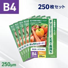 ���~�l�[�g�t�B���� B4�T�C�Y�i250�~�N�����j �Ɩ��p250�����i5���j ���~�l�[�^�[�t�B���� �p�E�`�t�B���� �f���� ���~�l�[�g ���H �h�� 