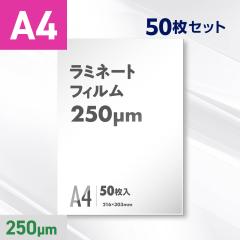 ���~�l�[�g�t�B���� A4�T�C�Y�i250�~�N�����j50������ POP ���j���[ �v���C�X�J�[�h �Ŕ� �J�^���O �`���V ���� �|�X�^�[ �Z���f�� ����