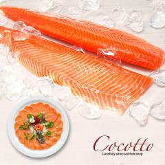 �T�[���� �����O���C�� 2�{ �^�X�}�j�A�T�[���� ������ �O����  �h�g ���h�g ���e ���� �v���~�A�� ���蕨 �M�t�g ���j�� ���� �p�[
