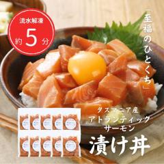 �����T�[���� �Ђ��� 100g�~10�p�b�N ���� �M�t�g �Ⓚ �C�N �����p ������ �^�X�}�j�A�Y �A�g�����e�B�b�N�T�[���� �ґ� �M�t�g �v