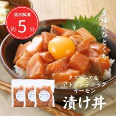 �����T�[���� �Ђ��� 100g�~3�p�b�N ���� �M�t�g �Ⓚ �C�N �����p ������ �^�X�}�j�A�Y �A�g�����e�B�b�N�T�[���� �ґ� �M�t�g �v��