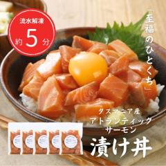 �����T�[���� �Ђ��� 100g�~5�p�b�N ���� �M�t�g �Ⓚ �C�N �����p ������ �^�X�}�j�A�Y �A�g�����e�B�b�N�T�[���� �ґ� �M�t�g �v��