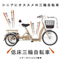 敷島（自転車） 後輪24X1 3/8 内3ローラー ステンリム SHIKISHIMAの 