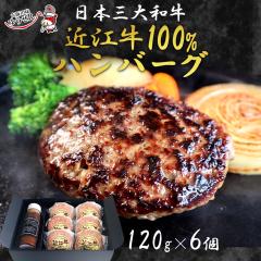 �M�t�g ���Y�� �ߍ]��100%�n���o�[�O 120g �~6�� �� ���� �y�� ���蕨 �O���� ���� �a�� �� ������ �Ⓚ �䂤����M�t�g
