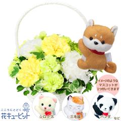 17�����̒����ŗ����͉y�ސE�j���z �� �M�t�g ���j�� ���� �L�O �v���[���g �ԃL���[�s�b�g�̃g���R�L�L���E�̃}�X�R�b�g�t���o�X�P�b