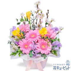 �y3���̒a���ԁi�s���N�K�[�x���j�z  �a���� ���j�� �L�O�� �v���[���g �Ƒ� �F�l  �ԃL���[�s�b�g��3���̃o�[�X�f�[�A�����W�����g ya03