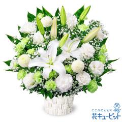 17�����̒����ŗ����͉� ���ފ� ���� ���� �@�v �@�� ���� ���� ���� ���~ ���~�V�~ �l�\��� ����� �y�������E������݂̌��ԁz�ԃL��