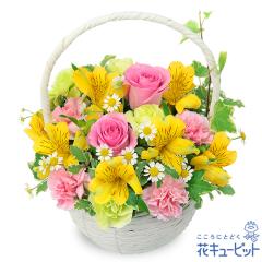 �y4���̒a���ԁi�A���X�g�������A�j�z  ���j�� �L�O�� ���� �a���� �v���[���g  �ԃL���[�s�b�g�̃A���X�g�������A�̃i�`�������o�X�P�b