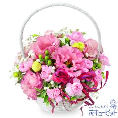 17�����̒����ŗ����͉y�����j�z �� �M�t�g ���j�� �L�O�� �v���[���g �v�w �c���c�� �W���[���u���C�h �u���C�_�� �ԃL���[�s�b�g�̃g