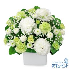 17�����̒����ŗ����͉� ���ފ� ���� ���� �@�v �@�� ���� ���� ���� ���~ ���~�V�~ �l�\��� ����� �y�������E������݂̌��ԁz�ԃL��