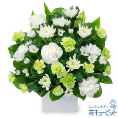 17�����̒����ŗ����͉� ���ފ� ���� ���� �@�v �@�� ���� ���� ���� ���~ ���~�V�~ �l�\��� ����� �y�������E������݂̌��ԁz�ԃL��