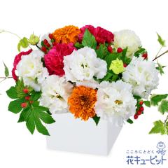 17�����̒����ŗ����͉y�a�����̉ԁz �t�����[�M�t�g �a���� �v���[���g �� ���j�� �L�O�� �ގ��ޏ� �v�w �c���� �F�B �F�l �ԃL���[�s