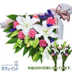 17�����̒����ŗ����͉� ���ފ� ���� ���� �@�v �@�� ���� ���� ���� ���~ ���~�V�~ �l�\��� ����� �y�������E������݂̌��ԁz�ԃL��