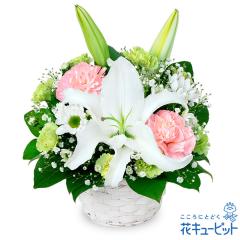 17�����̒����ŗ����͉� ���ފ� ���� ���� �@�v �@�� ���� ���� ���� ���~ ���~�V�~ �l�\��� ����� �y�������E������݂̌��ԁz�ԃL��