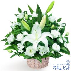 17�����̒����ŗ����͉y�������E������݂̌��ԁz ���� ���� �@�v �@�� ���� ���� ���� ���~ ���ފ� ���~�V�~ �l�\��� ����� �ԃL��