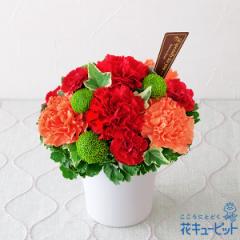 �y��̓��M�t�g�z  2026�N �܂��Ԃɍ��� �v���[���g �� ���� ���ꂳ�� �}�} �a���� 60�� 70�� �ԃL���[�s�b�g�̃O���}���X�i���b�h�j mt0