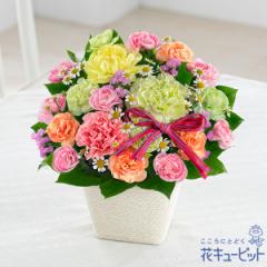 【母の日 ギフト】  2025年 まだ間に合う プレゼント 花 女性 お母さん ママ 誕生日 60代70代 花キューピットのカーネーションのミックス