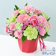 �y��̓��M�t�g�z  2026�N �܂��Ԃɍ��� �v���[���g �� ���� ���ꂳ�� �}�} �a���� 60�� 70�� �ԃL���[�s�b�g�̃J�[�l�[�V�����̃n�~���O