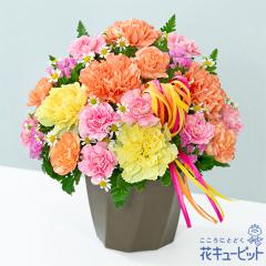 �y��̓��M�t�g�z  2026�N �܂��Ԃɍ��� �v���[���g �� ���� ���ꂳ�� �}�} �a���� 60�� 70�� �ԃL���[�s�b�g�̃J�[�l�[�V�����̃n�~���O