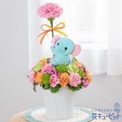 �y��̓��M�t�g�z  2026�N �܂��Ԃɍ��� �v���[���g �� ���� ���ꂳ�� �}�} �a���� 60�� 70�� �ԃL���[�s�b�g�̋�F��������̃}�X�R�b�g