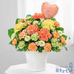 �y��̓��M�t�g�z  2026�N �܂��Ԃɍ��� �v���[���g �� ���� ���ꂳ�� �}�} �a���� 60�� 70�� �ԃL���[�s�b�g�̃n�[�g�o���[���A�����W��