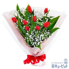 �y2���̒a���ԁi�`���[���b�v�j�z  �a���� ���j�� �L�O�� �v���[���g �Ƒ� �F�l �ގ��ޏ� �v�� �c���c��  �ԃL���[�s�b�g�̐ԃ`���[���b