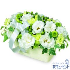 17�����̒����ŗ����͉� ���ފ� ���� ���� �@�v �@�� ���� ���� ���� ���~ ���~�V�~ �l�\��� ����� �y�������E������݂̌��ԁz�ԃL��