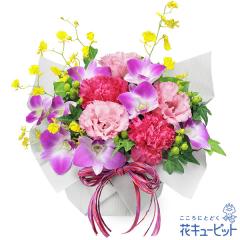 �y8���̒a���ԁi�g���R�L�L���E�j�z  �� �M�t�g �a���� �v���[���g �L�O�� �F�B �ގ��ޏ� ���� �c����  �ԃL���[�s�b�g��8���̃o�[�X�f�[