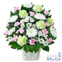 17�����̒����ŗ����͉� ���ފ� ���� ���� �@�v �@�� ���� ���� ���� ���~ ���~�V�~ �l�\��� ����� �y�������E������݂̌��ԁz�ԃL��