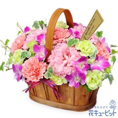 17�����̒����ŗ����͉y�a�����t�����[�M�t�g�z �a���� �v���[���g �� ���j�� �L�O�� �ގ��ޏ� �v�w �c���� �F�B �F�l �ԃL���[�s�b�g