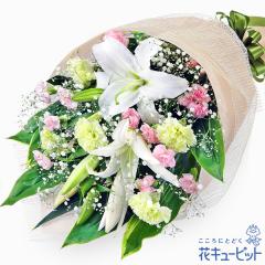 17�����̒����ŗ����͉� ���ފ� ���� ���� �@�v �@�� ���� ���� ���� ���~ ���~�V�~ �l�\��� ����� �y�������E������݂̌��ԁz�ԃL��