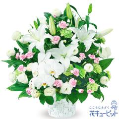 17�����̒����ŗ����͉� ���ފ� ���� ���� �@�v �@�� ���� ���� ���� ���~ ���~�V�~ �l�\��� ����� �y�������E������݂̌��ԁz�ԃL��