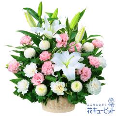 17�����̒����ŗ����͉� ���ފ� ���� ���� �@�v �@�� ���� ���� ���� ���~ ���~�V�~ �l�\��� ����� �y�������E������݂̌��ԁz�ԃL��