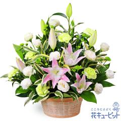 17�����̒����ŗ����͉� ���ފ� ���� ���� �@�v �@�� ���� ���� ���� ���~ ���~�V�~ �l�\��� ����� �y�������E������݂̉ԁz�ԃL���[