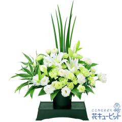 17�����̒����ŗ����͉� ���ފ� ���� ���� �@�v �@�� ���� ���� ���� ���~ ���~�V�~ �l�\��� ����� �y�������E������݂̌��ԁz�ԃL��