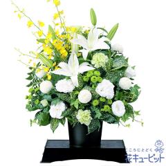 17�����̒����ŗ����͉� ���ފ� ���� ���� �@�v �@�� ���� ���� ���� ���~ ���~�V�~ �l�\��� ����� �y�������E������݂̌��ԁz�ԃL��