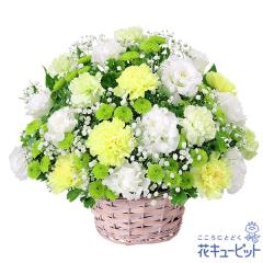 17�����̒����ŗ����͉� ���ފ� ���� ���� �@�v �@�� ���� ���� ���� ���~ ���~�V�~ �l�\��� ����� �y�������E������݂̌��ԁz�ԃL��