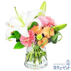 �y�������z  ���������� 2026�N �� �V�N �ꐳ �N�� ���A ���N�� ���� ���N �}�t  �ԃL���[�s�b�g�̔������̃O���X�u�[�P�i�ԕr�t���j pp0