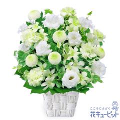 17�����̒����ŗ����͉� ���ފ� ���� ���� �@�v �@�� ���� ���� ���� ���~ ���~�V�~ �l�\��� ����� �y�������E������݂̌��ԁz�ԃL��