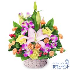 17�����̒����ŗ����͉y�ސE�j���z �� �M�t�g ���j�� ���� �L�O �v���[���g �ԃL���[�s�b�g�̃����̍��؂ȃ~�b�N�X�A�����W�����g yi00