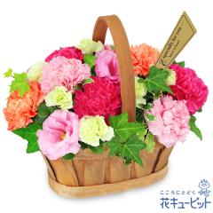 17�����̒����ŗ����͉y�a�����t�����[�M�t�g�z �a���� �v���[���g �� ���j�� �L�O�� �ގ��ޏ� �v�w �c���� �F�B �F�l �ԃL���[�s�b�g