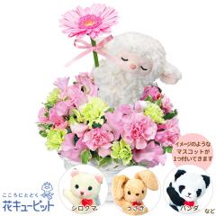 �y3���̒a���ԁi�s���N�K�[�x���j�z  �a���� ���j�� �L�O�� �v���[���g �Ƒ� �F�l  �ԃL���[�s�b�g�̃s���N�K�[�x���̃}�X�R�b�g�t���A��