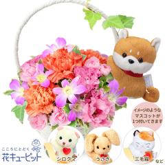 17�����̒����ŗ����͉y�a�����t�����[�M�t�g�z �a���� �v���[���g �� ���j�� �L�O�� �ގ��ޏ� �v�w �c���� �F�B �F�l �ԃL���[�s�b�g