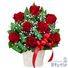 �y10���̒a���ԁi�o���j�z  �� �M�t�g �a���� ���j�� �L�O�� ����  �ԃL���[�s�b�g�̐ԃo���̃��{���A�����W�����g ya10-524240