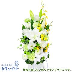 17�����̒����ŗ����͉� ���ފ� ���� ���� �@�v �@�� ���� ���� ���� ���~ ���~�V�~ �l�\��� ����� �y�������E������݂̌��ԁz�ԃL��