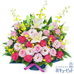 17�����̒����ŗ����͉y�V�z�����z���j���z �� �M�t�g �ړ] �L�O ���j�� �v���[���g �ԃL���[�s�b�g�̃����ƃI���V�W�E���̍��؂ȃA��