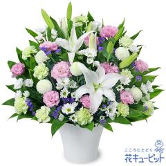 17�����̒����ŗ����͉� ���ފ� ���� ���� �@�v �@�� ���� ���� ���� ���~ ���~�V�~ �l�\��� ����� �y�������E������݂̌��ԁz�ԃL��