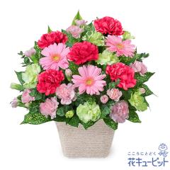 �y3���̒a���ԁi�s���N�K�[�x���j�z  �a���� ���j�� �L�O�� �v���[���g �Ƒ� �F�l  �ԃL���[�s�b�g�̃s���N�K�[�x���̃A�����W�����g ya0